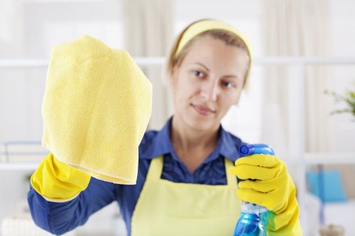 Curtain cleaning in a bright Brisbane living room