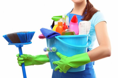 Professional carpet cleaning for a stylish living space