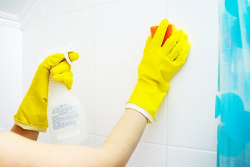 Deep cleaning a carpet to remove pet odour